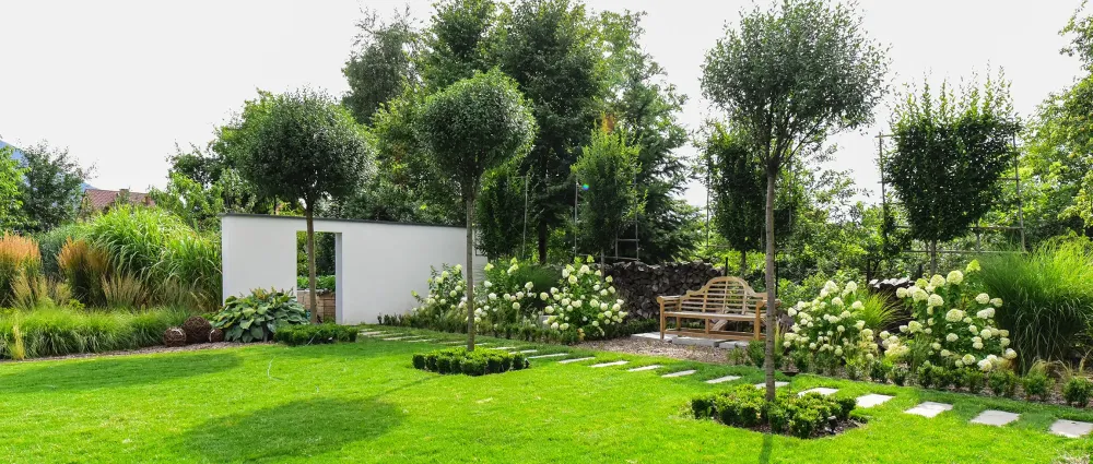 Plantation près de Leuze-en-Hainaut