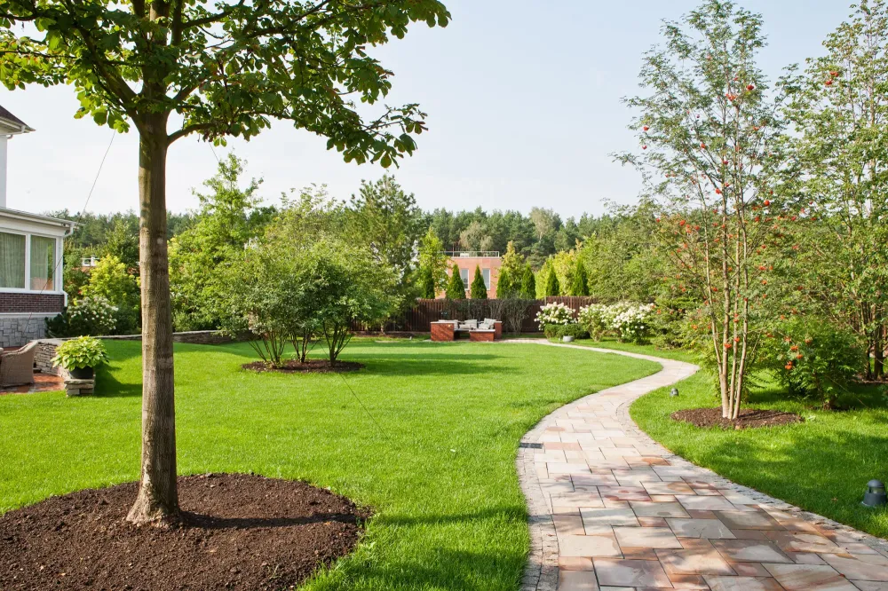 plantations-arbres-arbustes-jardin-full